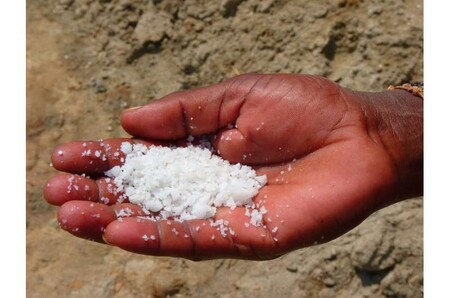 Estados Unidos ocupa el puesto número 2 en el mundo por el contenido de sal de productos cárnicos / pesqueros procesados Estados Unidos ocupa el puesto número 2 en el mundo por el contenido de sal de productos cárnicos / pesqueros procesados